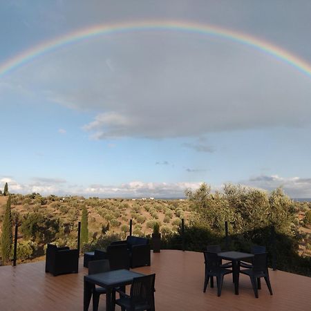 Al Recanto Do Sol Torres Novas Εξωτερικό φωτογραφία