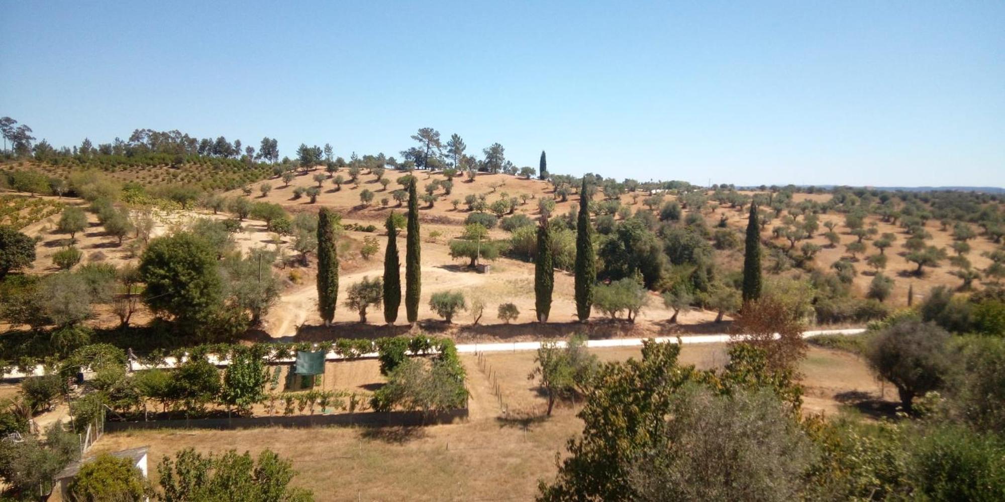 Al Recanto Do Sol Torres Novas Εξωτερικό φωτογραφία